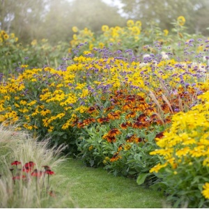Blomsterbinderens snitblomster i gul (12 stk)