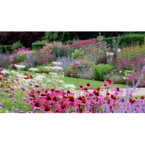 Blomsterbinderens snitblomster i rød/rosa (12 stk)